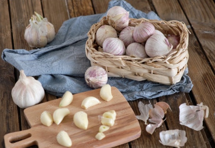 Garlic