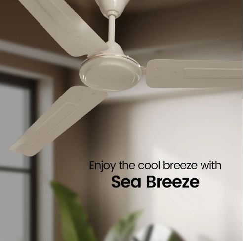 Crompton Surebreeze Sea Breeze 1200 MM 3 Blade Star Rated Ceiling Fan