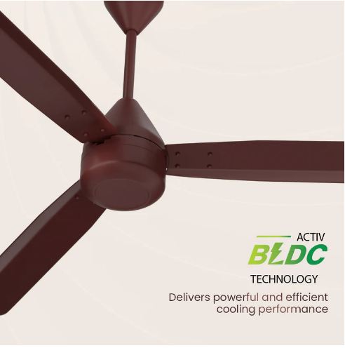 Crompton Energion Groove Remote BLDC 1200 MM 3 Blade Ceiling Fan