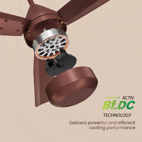 Crompton Energion Cookie BLDC 1200 MM 3 Blade Ceiling Fan