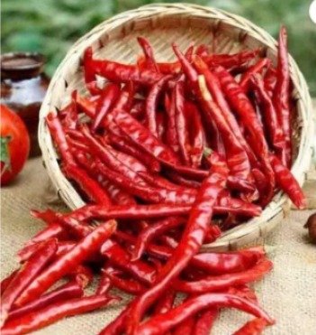 SURYA Guntur Red Chilli ( 1 Kg )