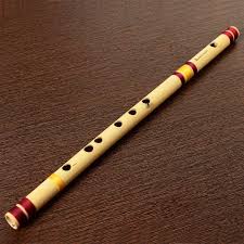 Flute Training Classes